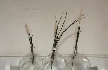 La Cuesta14 - Foto 3