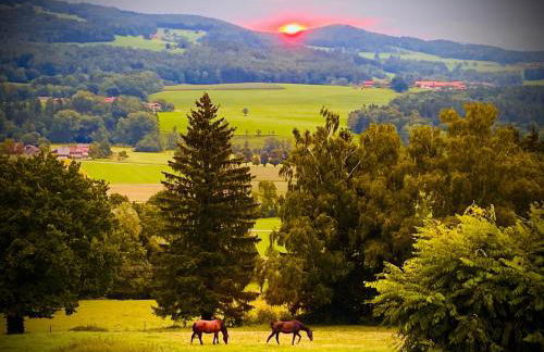 Haus Vogl - Fewo mit priv. Sauna und traumhaften Salzwasser-Pool - Foto 46
