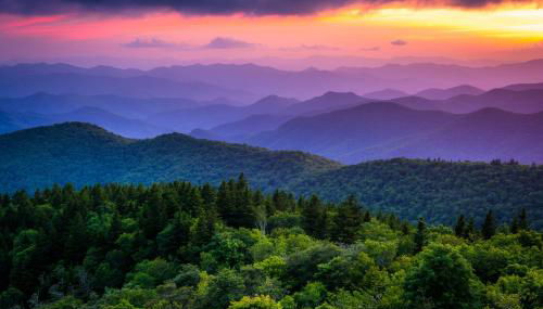 Cool Springs Manor - Foto 3