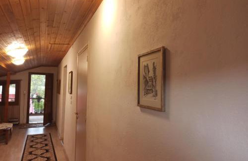 Μυρτώ - Photo 7