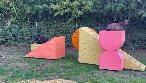 Peaceful Farm Airstream Camper Retreat - Hot Tub - Foto 4