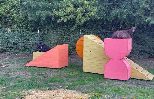 Peaceful Farm Airstream Camper Retreat - Hot Tub - Foto 4