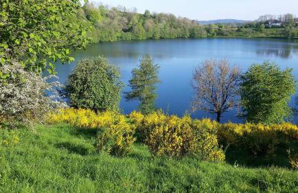 Ferienhaus Eifelhöhe mit Maarpanorama - Foto 23