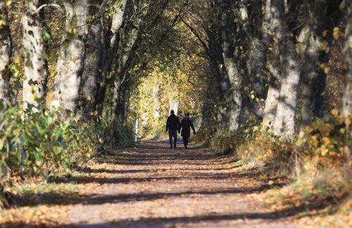Garden Studio in Biggar - Photo 25