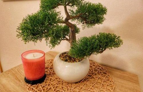 Apartman Dabrović - Foto 26