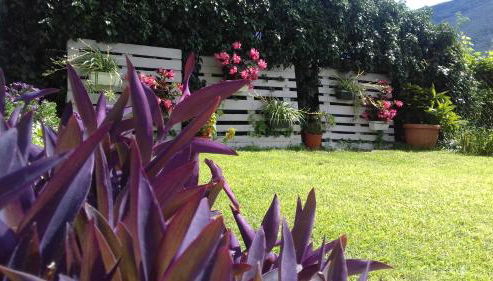 Apartment Viola - Foto 4, Garden