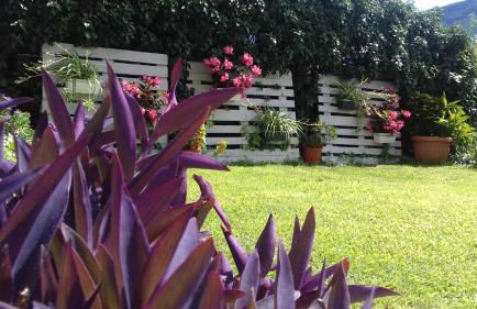 Apartment Viola - Foto 4