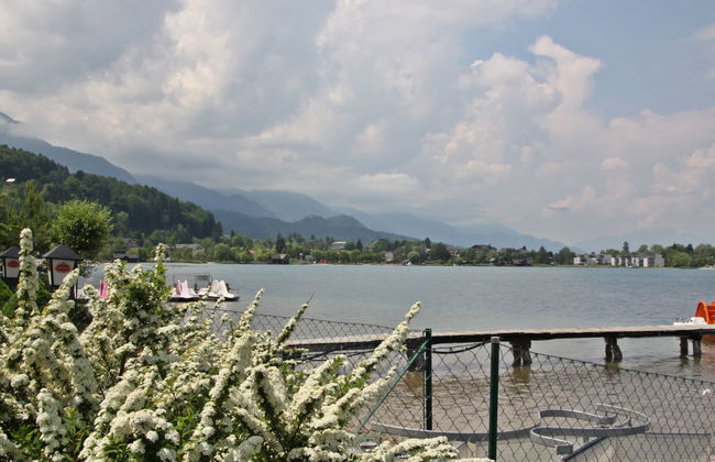 Deutschbauer - Foto 13