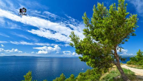 Vila Maslina Apartments mit Pool und Garten nahe am Strand - Foto 1