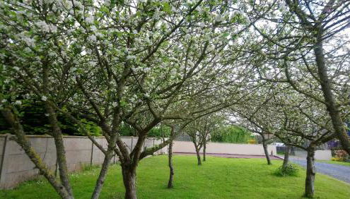 Gite Le Patelot - Foto 5, Garden