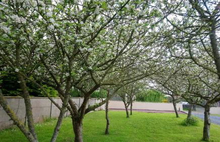 Gite Le Patelot - Foto 5