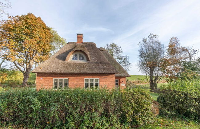 Reetgedecktes Ferienhaus mit Kachelofen - Foto 1