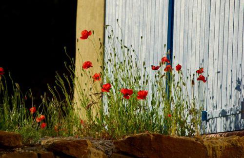 Mas Caipi La Cadière d'Azur at My Luxury Home in Provence - Foto 25