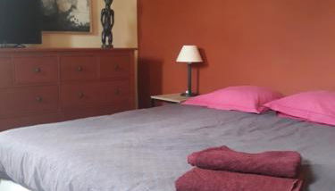 La maison du jardin - Photo 4