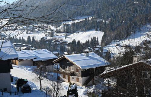 Les bouquetins - Foto 35