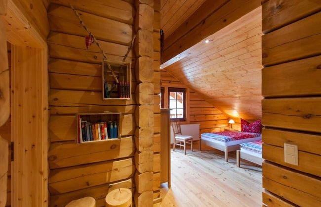 To Salamander No. 15a - Foto 3