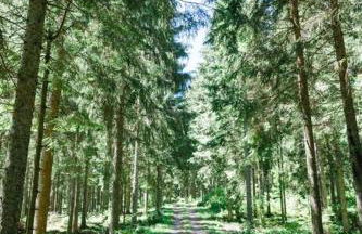 Ferienwohnung "Am Skilift" - Foto 23