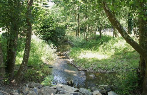 Kingfisher - 30788 - Foto 8