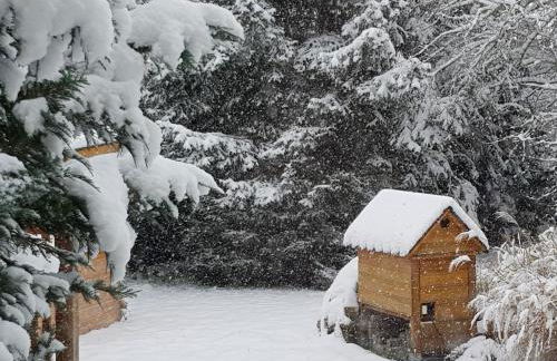 Harzer Auszeit - Foto 29