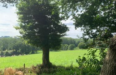 Two Cottages in Beautiful Brittany 5 Bedrooms Sleeps 10 Pets Welcome Heated Swimming Pool Free Wifi - Foto 9