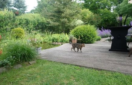 Ferienwohnung Teschow - Foto 21