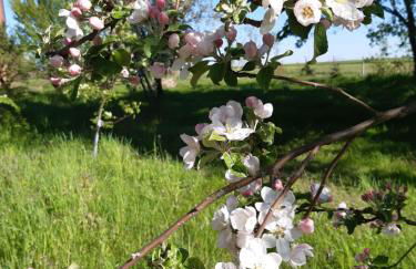 Kulturfreizeiten Ferienwohnungen - Photo 52