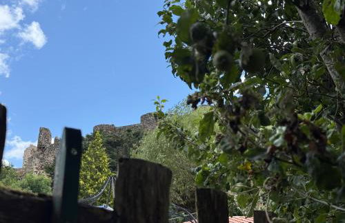 Gite LES SOURCES, 9 pers, 11 couchages - Arlempdes, classé un des plus beaux villages de France - Foto 8