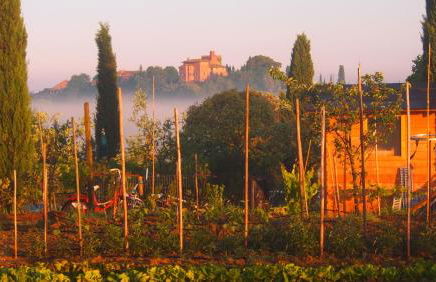 Agriturismo La Terra - Foto 37