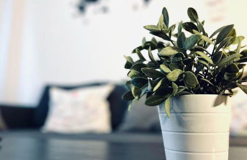 Apartamento Pintor Palomino - Photo 23