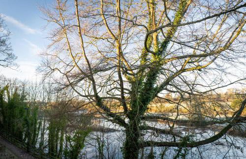 River View Cottages - Foto 6