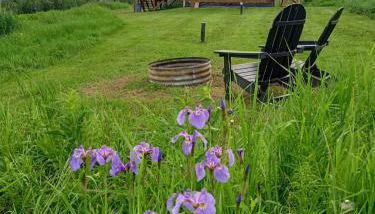 Secluded Log Cabin, 30 min from Chena Hot Springs - Foto 3
