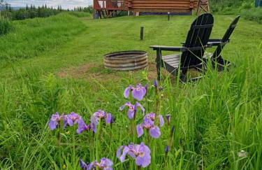 Secluded Log Cabin, 30 min from Chena Hot Springs - Foto 3