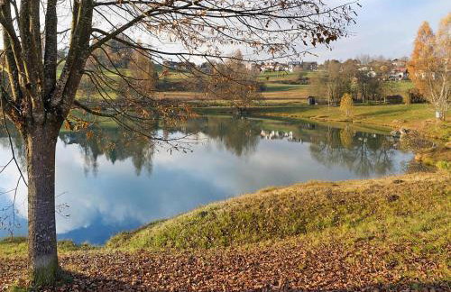 Apartment in Neuschonau With Parking Space - Foto 98