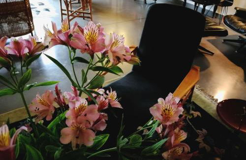 Al Canton Agriturismo di Design - Foto 14