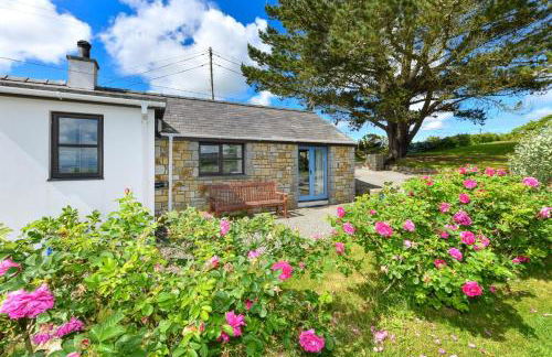 2 Bed in Pwllheli oc-trefae - Foto 21