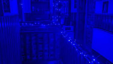 Magnoliowy Zakątek - Foto 3