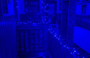 Magnoliowy Zakątek - Foto 3