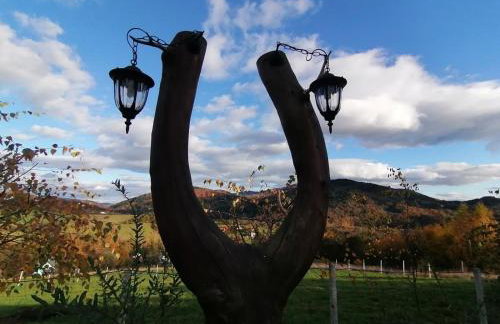 Domki- Limanowa, domki z balią i sauną - Foto 77