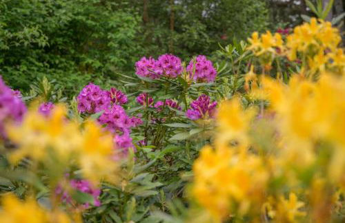 Haven Retreat Scotland - Large 4 Bed House with Woodland garden, Aboyne ,Royal Deeside - Photo 31