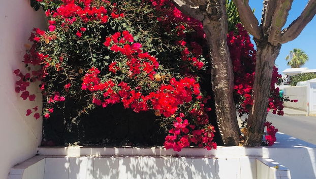 Zona de estar del vestíbulo