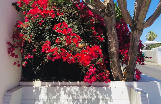 Apartamentos Maribel - Foto 2