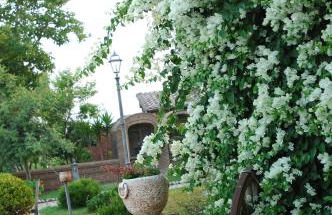 Tenuta Sciacca - Foto 22