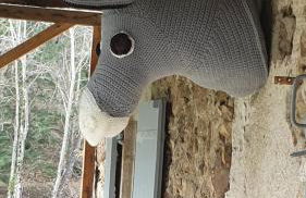 Chez Patoue Gîte et Chambre d'hôtes - Photo 31