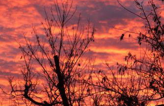 Agriturismo Mirasole - Foto 32