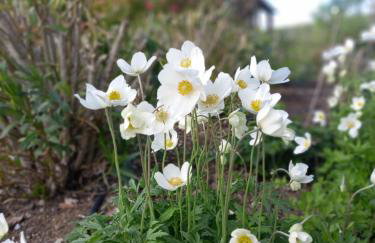 Villa in Agello - Photo 49