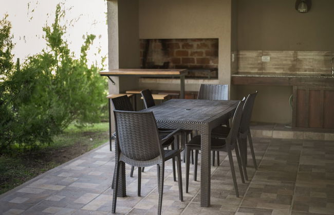 Olivos de Monte - Foto 28