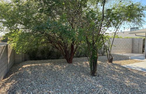 Genuinly Good & Calm - Foto 3