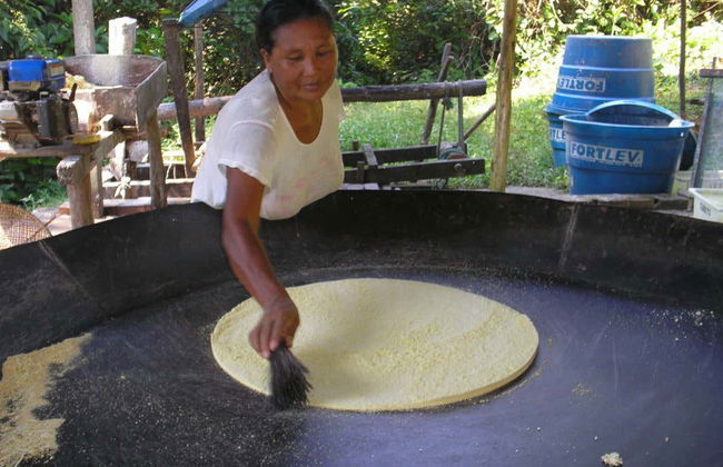 Excursión a la selva amazónica - Foto 7