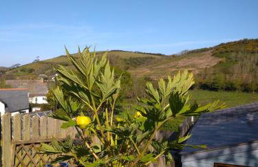 Fern Cottage Annexe - Foto 9