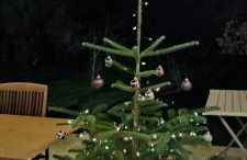 Gîte LogisNoues - Foto 13